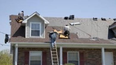 Roof Maintenance