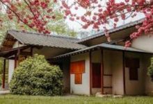 Transforming Your Home’s Aesthetic Through Creative Roofing Designs